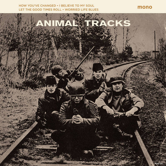 ANIMAL TRACKS EP (LP)