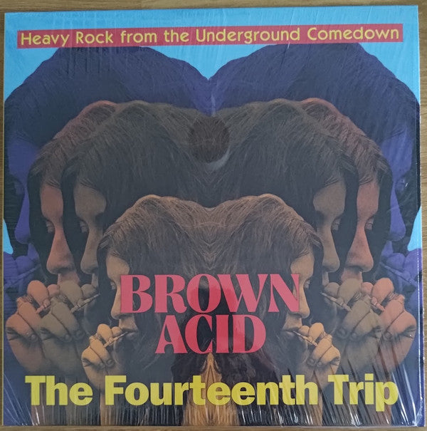 BROWN ACID - THE FOURTEENTH TRIP