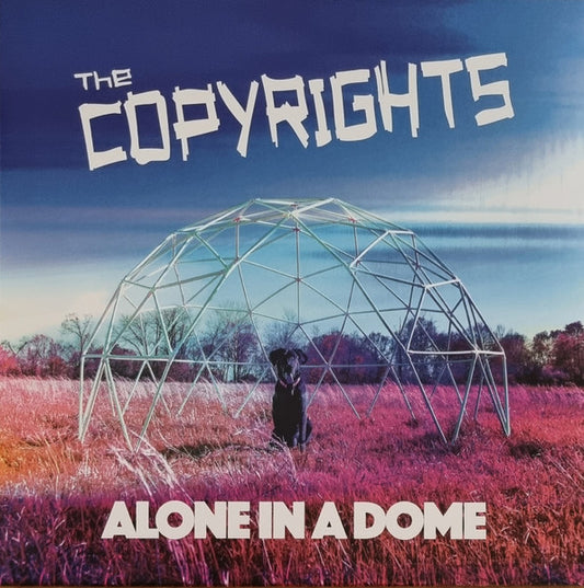 ALONE IN A DOME