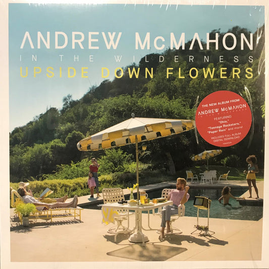 ANDREW MCMAHON IN THE WILDERNESS UPSIDE DOWN FLOWERS (LP)