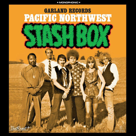 PACIFIC NORTHWEST STASH BOX (GREEN VINYL)