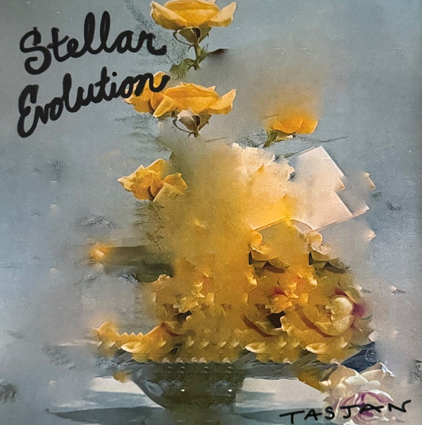 STELLAR EVOLUTION