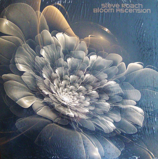 BLOOM ASCENSION