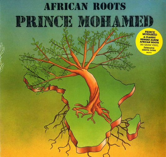 AFRICAN ROOTS