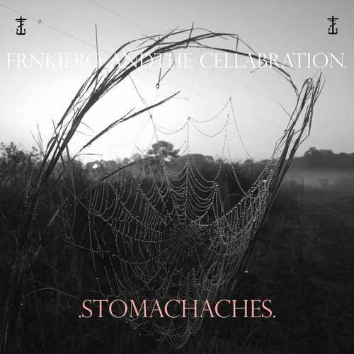 FRNKIERO AND THE CELLABRATION STOMACHACHES (LP)