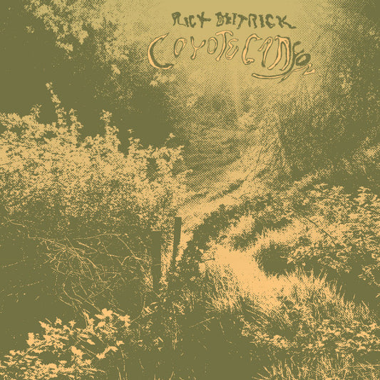 RICK DEITRICK COYOTE CANYON (LP)