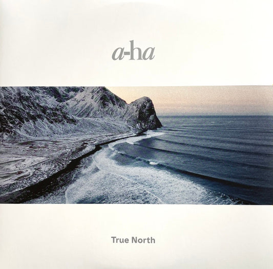 TRUE NORTH (BLACK HEAVY VINYL)