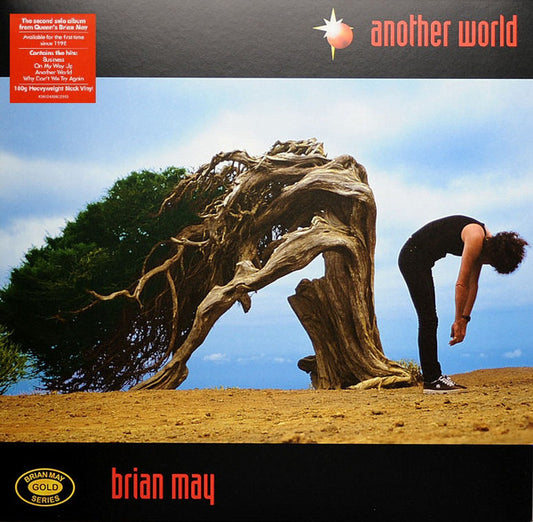 ANOTHER WORLD(LP)