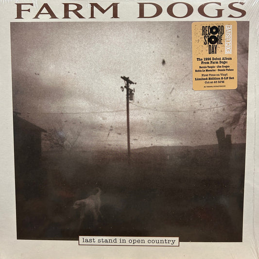 RSD 2024 - LAST STAND IN OPEN COUNTRY (2LP)