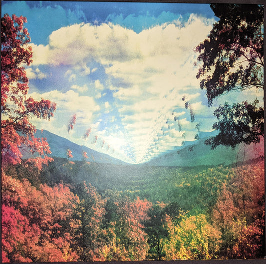 TAME IMPALA INNERSPEAKER (4LP)