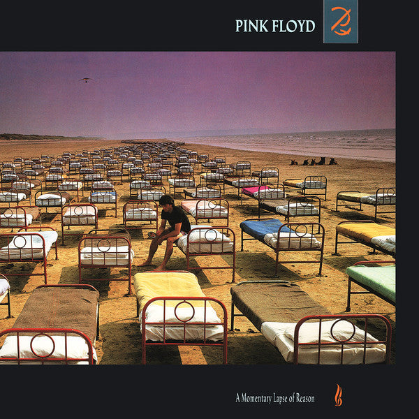 A MOMENTARY LAPSE OF REASON