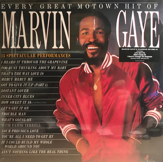 GAYE, MARVIN EVERY GREAT MOTOWN HIT (LP)