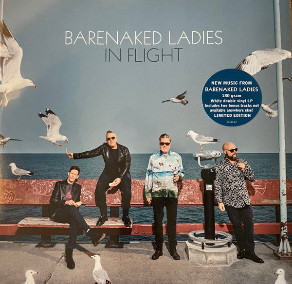 IN FLIGHT (2LP)