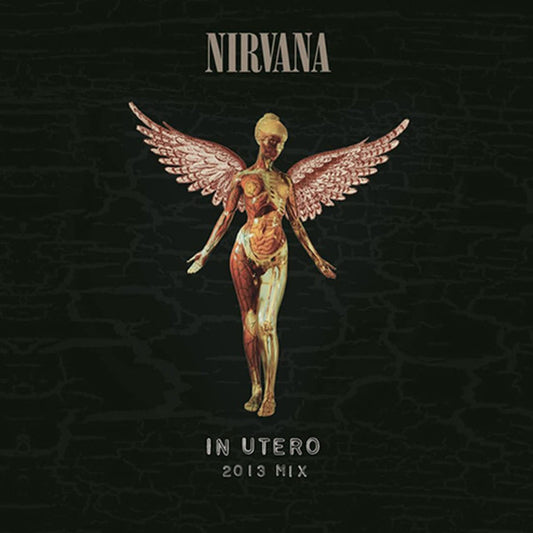 NIRVANA IN UTERO (2013 MIX)