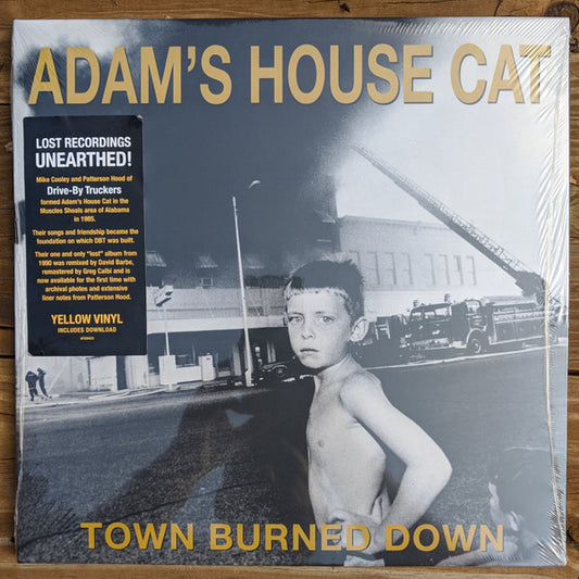 TOWN BURNED DOWN (LP)