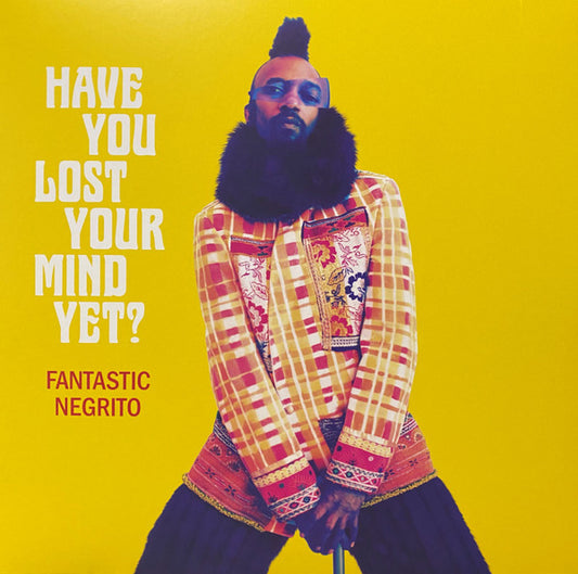 HAVE YOU LOST YOUR MIND(LP