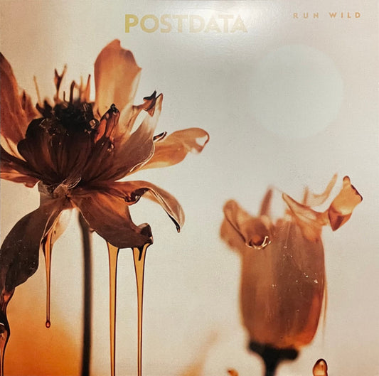 POSTDATA RUN WILD (LP)