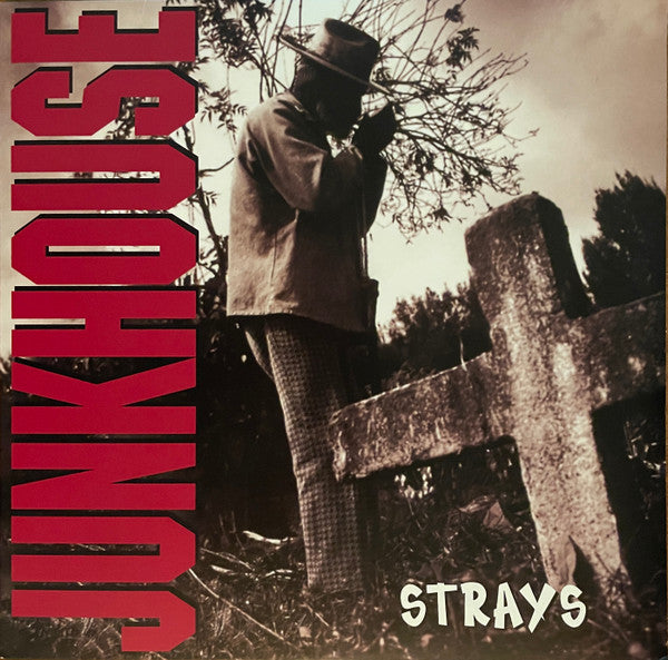 RSD 2023 - STRAYS (EXPANDED LP) (TRANSLUCENT RED VINYL)