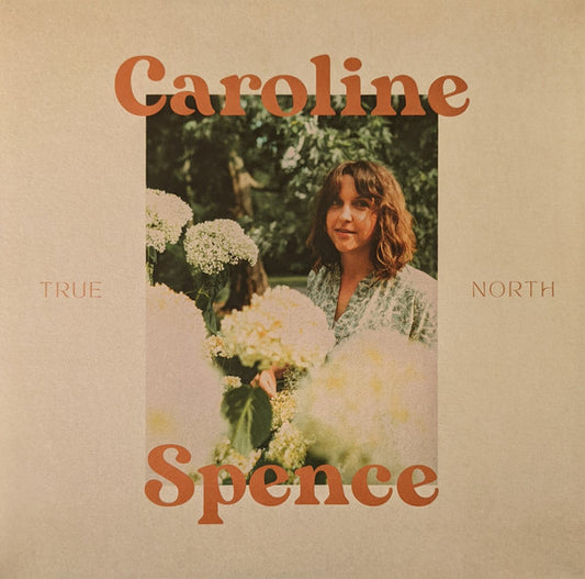 TRUE NORTH(LP)