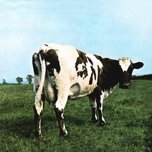 ATOM HEART MOTHER