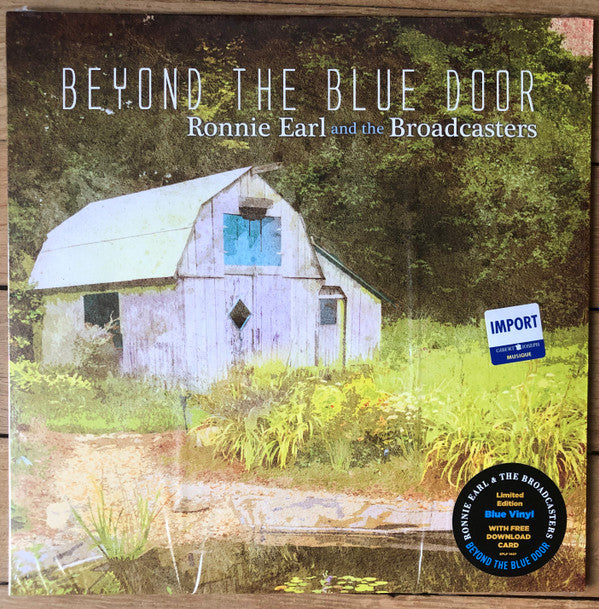 BEYOND THE BLUE DOOR