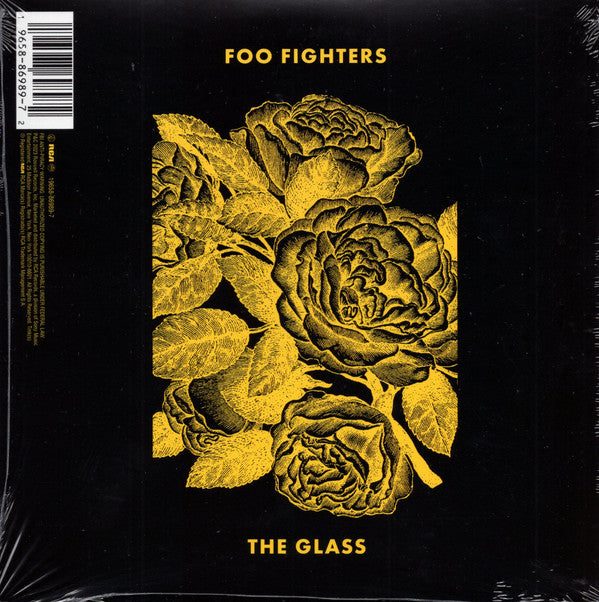 THE GLASS (INDIE EXCLUSIVE 7" VINYL SINGLE)