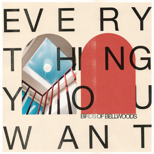 EVERYTHING YOU WANT (180G-WHITE VINYL)