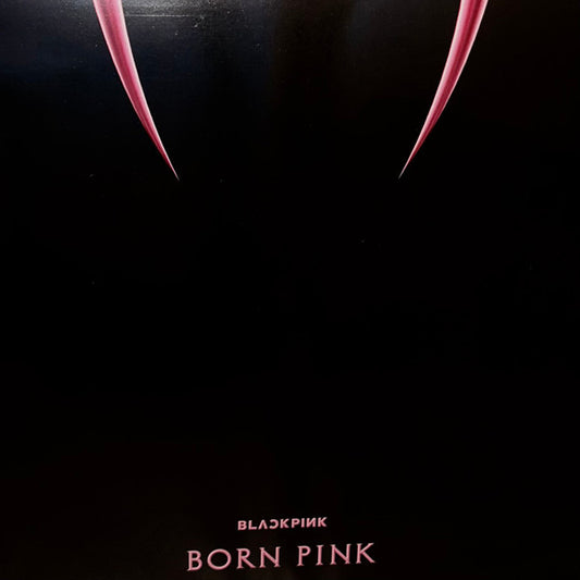 BORN PINK (LP)