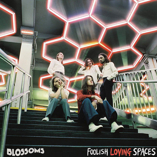 FOOLISH LOVING SPACES (LP)