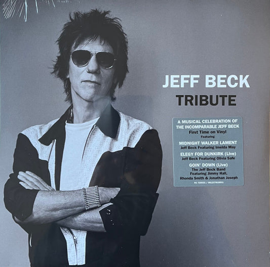 BF 2023 - TRIBUTE (LP)