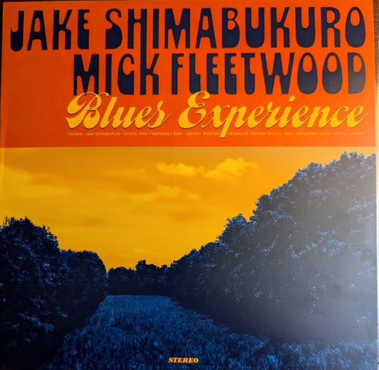 BLUES EXPERIENCE (LP)