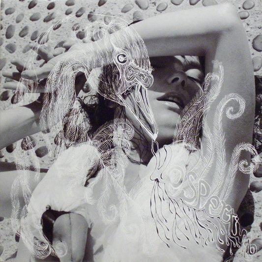 BJÖRK VESPERTINE